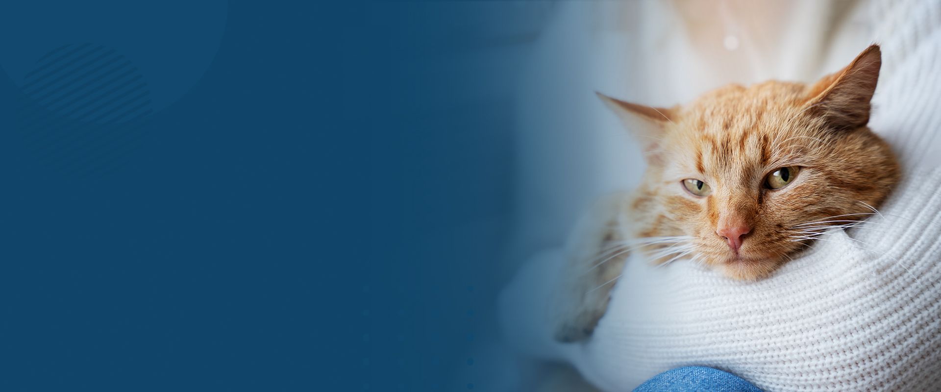 woman hugging her orange cat